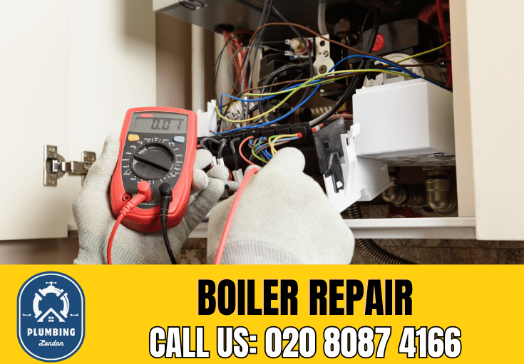 boiler repair Roehampton