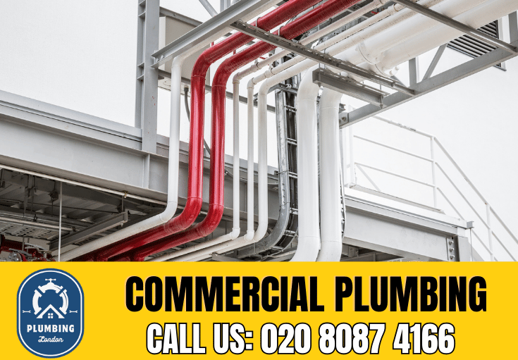 commercial plumbing Roehampton