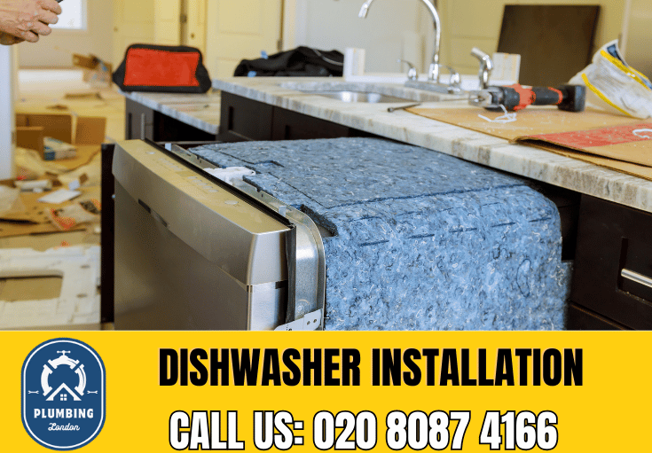 dishwasher installation Roehampton