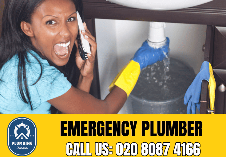 emergency plumber Roehampton