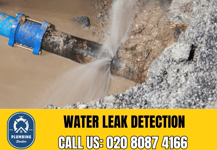 leak detection Roehampton