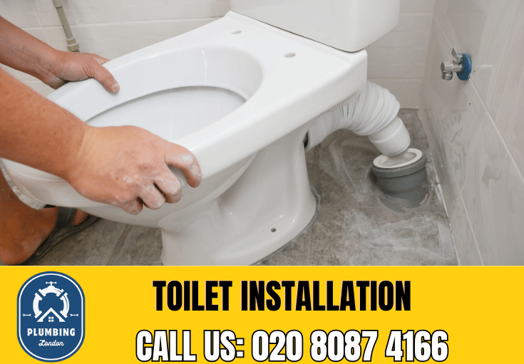 toilet fitters Roehampton